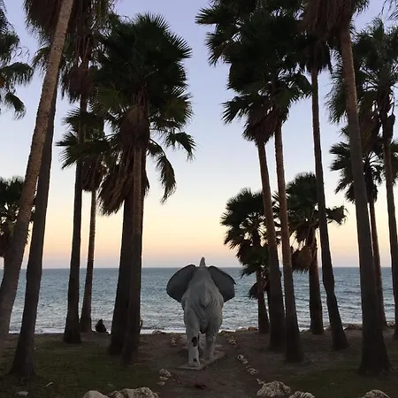 Estudio De Ensueno A Pie De Playa En En El Skol