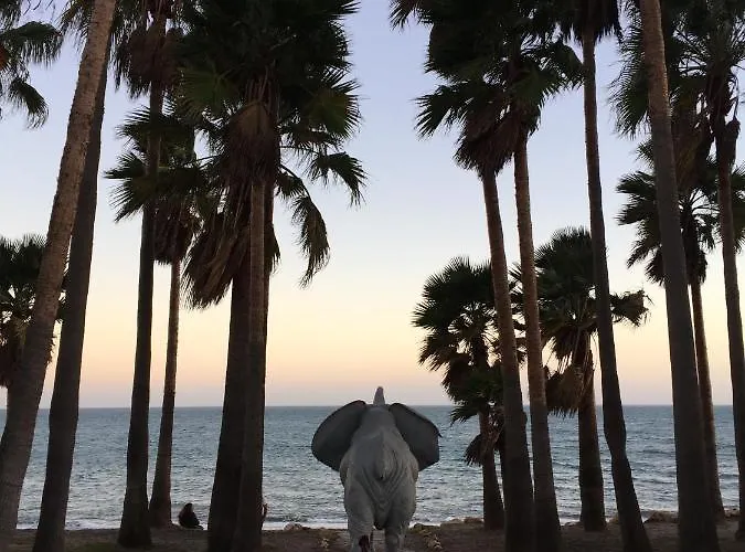 Estudio De Ensueno A Pie De Playa En En El Skol